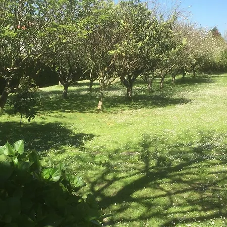 Casa Vacacional Mazo De Arriba サンタンデール